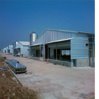 Steel structure shed