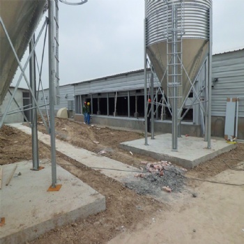 Steel structure shed