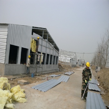Steel structure shed