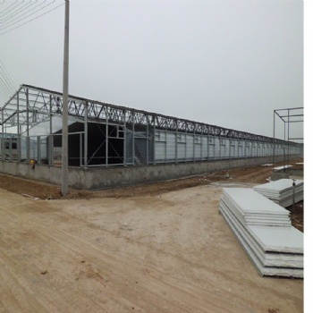 Steel structure shed