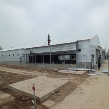 Steel structure shed